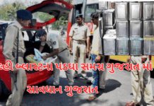 Gujarat on High Alert:દિલ્હી કાર બ્લાસ્ટ બાદ ગુજરાતમાં સુરક્ષા ચુસ્ત. ગુજરાતના બધા જાહેર સ્થળો પર સઘન ચેકિંગ.#gujrat,#gujratpolice,#alert Gujarat on High Alert