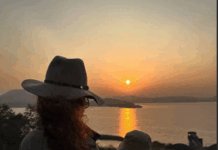 KANGANA RANAUT:ગીરમાં કંગના રનૌતનો જંગલ પ્રવાસ: ભાણિયા સાથે ખુલ્લી જિપ્સીમાં સિંહ ના દર્શન. #KanganaRanaut,#GirSafari,#SasanGir,#GujaratTourism gujrat