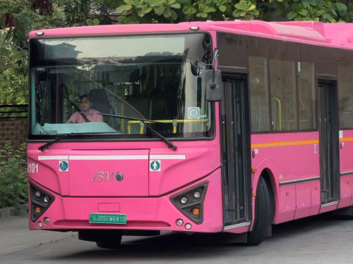 PINK BRTS: