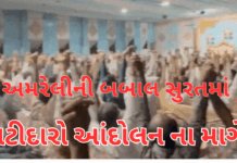 From Fulzar to Surat : “307ની કલમ નહીં હટે તો પાટીદારોની સુરત થી ફુલઝર જવાની તૈયારી”,#surat,#patidar, From Fulzar to Surat :