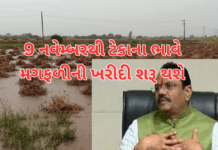 Big Relief for Farmers from the Government!: મગફળીમાં ખેડૂતોને રાહત! 9 નવેમ્બરથી સરકાર કરશે ટેકાના ભાવે ખરીદી #gujrat, #farmers,
