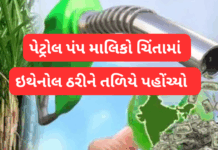 Petrol Pump Dealers:પેટ્રોલમાં ઇથેનોલ ભેળસેળ થી પેટ્રોલપંપ સંચાલકો પરેશાન – લાખોનું નુકસાન,