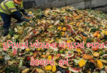 World Food Waste Report:દુનિયામાં ખોરાકના બગાડમાં ભારત બીજા ક્રમે: 1.05 અબજ ટન ફૂડ વેસ્ટ ગ્લોબલ વોર્મિંગને વધી રહ્યું છે Food Waste