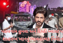 Shah Rukh Khan:પહલગામ હુમલા અને દિલ્હી બ્લાસ્ટ પર શાહરુખ ખાનનું ભાવનાત્મક નિવેદન: “જ્યારે કોઈ પૂછે તો કહેજો, હું દેશની રક્ષા કરું છું”#ShahRukhKhan, #SRK, #DelhiBlast, Shah Rukh Khan