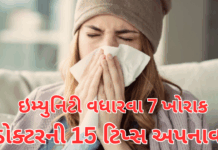 Winter Health Alert:હેલ્થી બનાવનારો શિયાળો માંદા પાડે તો? ઠંડી 10 રોગોનું જોખમ વધારે છે; ઇમ્યુનિટી વધારવા 7 ખોરાક અને ડોક્ટરની 15 ટિપ્સ.#WinterHealth, #ColdWeatherRisks, #WinterDiseases Winter Health