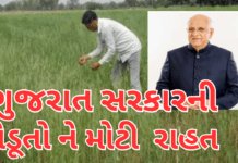 CM Bhupendra Patel Declares Historic: 10 હજાર કરોડનું કૃષિ પેકેજની કરી જાહેરાત.#CMbhupendraPatel,#FarmersRelief, મોટી રાહત