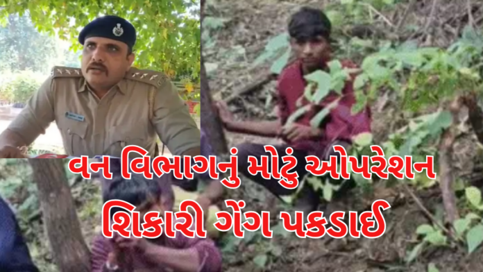 Poaching Racket Exposed