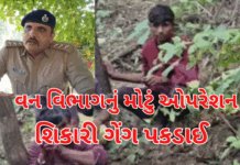 Poaching Racket Exposed: અમીરગઢ જંગલમાં હાઈ-અલર્ટ ઓપરેશન વન વિભાગે 10 શિકારીઓને પકડી પાડ્યા. #Amirgarh, #PoachingCase, #WildlifeCrime Poaching Racket Exposed