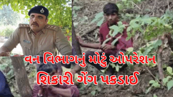 Poaching Racket Exposed