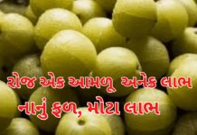 Amla Benefits: રોજ એક આમળું, અનેક લાભ . ઇમ્યુનિટી, ડાઇજેશન અને હાર્ટ હેલ્થ માટે શ્રેષ્ઠ #AmlaBenefits, #AmlaSuperfood, #HealthTips, #ImmunityBoost, Amla Benefits