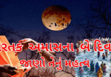Kartik Amavasya :તિથિ ભેદથી કારતક અમાસ બે દિવસ પૂર્વજ તર્પણથી લઈને દાન સુધીના શુભ કાર્યોનું મહત્વ.#KartikAmavasya #TwoDayAmavasya, #PitruTarpan, #AncestralRituals #HolyBath Kartik Amavasya