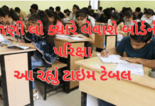 Board exam 2026 : ધોરણ 10 અને 12ની બોર્ડ પરીક્ષાઓનું વિગતવાર સમયપત્રક જાહેર કરવામાં આવ્યું છે.સાયન્સમાં ફિઝિક્સ અને કોમર્સમાં અર્થશાસ્ત્રથી શરૂઆત,#gseb,#studant,#gujrat Board exam 2026