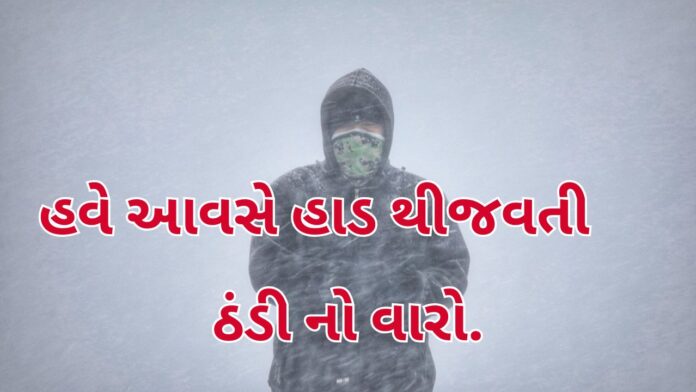 Cold Wave Grips Gujarat: Cold Wave Grips Gujarat: