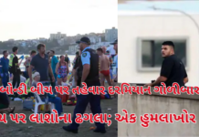 Terror at Bondi Beach:ઓસ્ટ્રેલિયાના બોન્ડી બીચ પર તહેવાર દરમિયાન યહૂદીઓ પર ફાયરિંગ, 10નાં મોત; 30 વર્ષમાં સૌથી મોટી માસ શૂટિંગ Bondi Beach