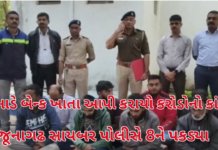 Operation Mule Hunt:મ્યુલ એકાઉન્ટથી સાયબર ફ્રોડના તાર જૂનાગઢ સુધી, 253 કરોડના ટ્રાન્ઝેક્શન કેસમાં 8ની ધરપકડ Mule Hunt