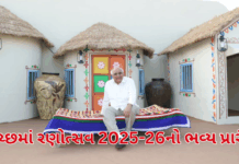 Rann Utsav 2025-26:કચ્છમાં રણોત્સવ 2025-26નો ભવ્ય પ્રારંભ: CM ભૂપેન્દ્ર પટેલે ₹179 કરોડના વિકાસકાર્યોનું ઇ-ખાતમુહૂર્ત Rann Utsav