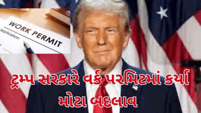 US Cuts Work Permit