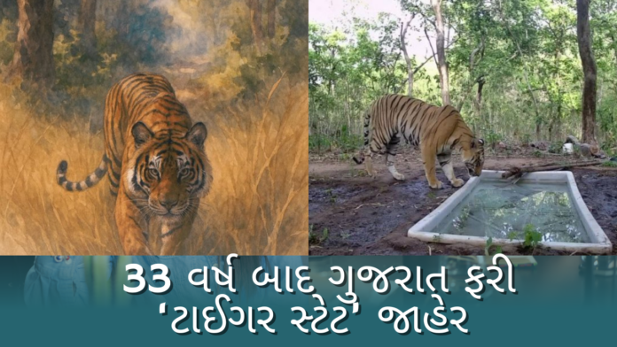 Tiger State