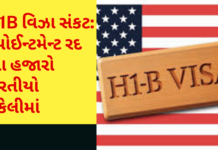 H1 B Visa:અમેરિકાની નવી પૉલિસીથી H-1B વિઝા રિન્યૂઅલ અટક્યું, ભારતે ઉઠાવ્યો મુદ્દો H1 B Visa