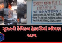 Surat Fire: સુરતની કેમિકલ ફેક્ટરીમાં ભીષણ આગ પલસાણાના મખીંગા ગામમાં આગથી અફરાતફરી, Surat Fire