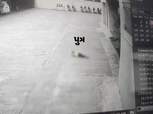 comp 4017569747131757925089 1766646700