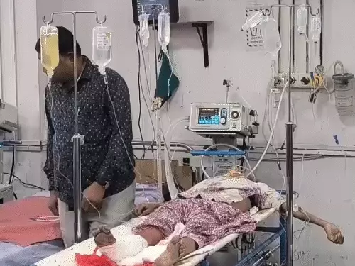 comp 44 4 1766646735