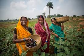 Women Farmers