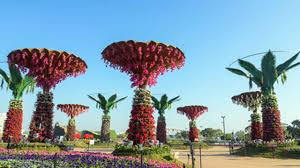 Ahmedabad Flower Show