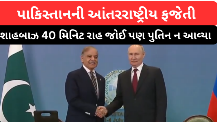 Pak pm and putin
