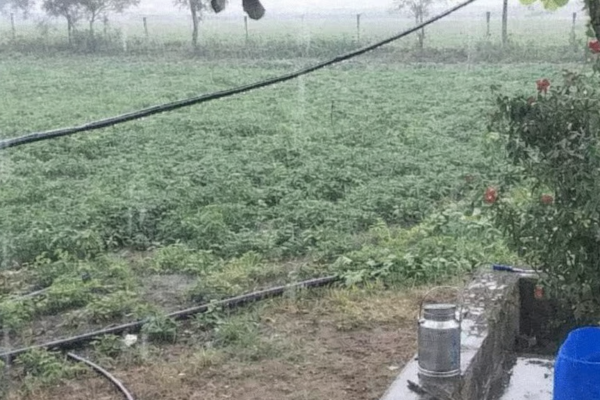 Gujarat Weather Update