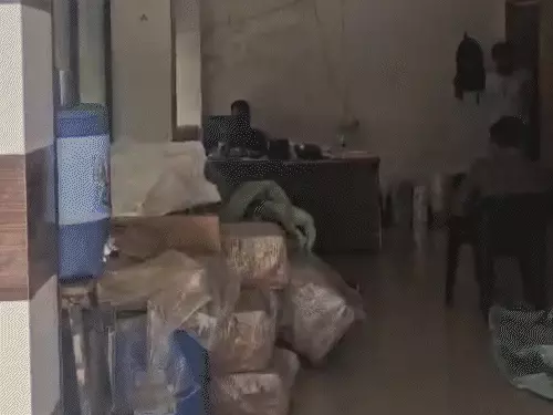 Fake Cosmetic Products