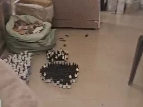 Fake Cosmetic Products