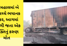 Panchmahal Accident:પંચમહાલમાં બે ટ્રક વચ્ચે ભયાનક અકસ્માત, આગમાં સળગી જતા એક વ્યક્તિનું કરુણ મોત Accident