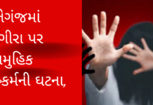 Crime News:વડોદરામાં 15 વર્ષીય સગીરા પર ગેંગરેપ, બે યુવકે ત્રણ કલાક રૂમમાં ગોંધી રાખી દુષ્કર્મ કર્યું Crime News