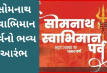Somnath Swabhiman Parv:હર હર મહાદેવના નાદ સાથે સોમનાથ શિવમય: નાગા સાધુઓની ઐતિહાસિક રવાડી, Somnath Swabhiman Parv