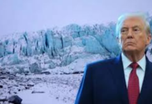 US Greenland Issue: ટ્રમ્પે પોતાના પગ પર કુહાડી મારી? ગ્રીનલેન્ડ મુદ્દે યુરોપની એકતા જોઈ અમેરિકાના હોશ ઉડ્યાં! US Greenland Issue