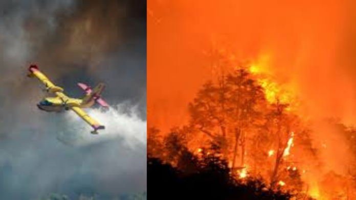 Massive Wildfires