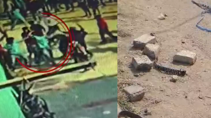 School Violence