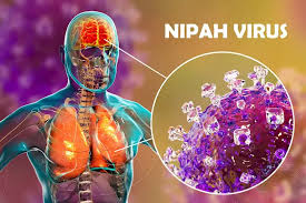 Nipah Virus in West Bengal
