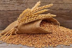 Gujarat Wheat MSP 2026