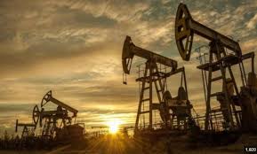 India and Venezuela News