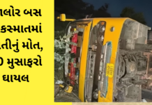 Rajasthan Bus Accident:જાલોરમાં ખાનગી લક્ઝરી બસ ખીણમાં ખાબકી, પતિ-પત્ની સહિત 2નાં મોત, 20થી વધુ મુસાફરો ઈજાગ્રસ્ત Bus Accident