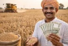 Gujarat Wheat MSP 2026:ગુજરાતમાં રવિ સીઝન 2026 માટે ₹2,585 MSP પર ઘઉં ખરીદીની જાહેરાત Wheat MSP
