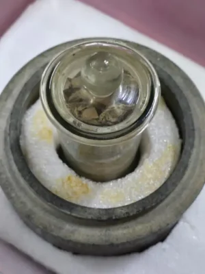 Historic Moment in Vadodara