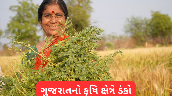 Gujarat Agricultural Revolution