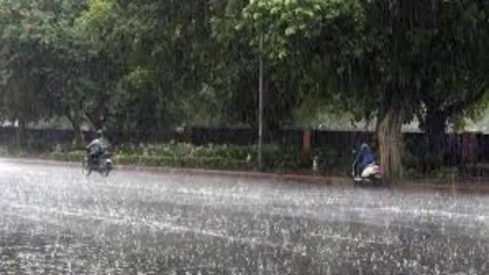 Rain