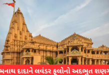 Maha Shivratri 2026: સોમનાથમાં લવંડર ફૂલોનો દિવ્ય શણગાર, તો સુરતમાં પોલીસ સંચાલિત ઈચ્છાનાથ મહાદેવના દ્વારે ભક્તોની ભીડ Maha Shivratri 2026