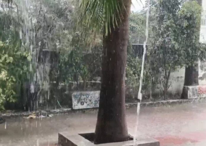 Unseasonal Rain Lashes Gir