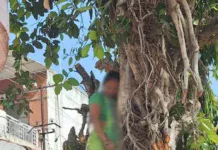 Tragedy in Vadodara: વડોદરામાં હૃદયદ્રાવક ઘટના 4 બાળકોની માતાએ વડના ઝાડ પર ગળેફાંસો ખાઈ જીવન ટૂંકાવ્યું, પરિવારના આક્રંદથી વાતાવરણ ગમગીન Tragedy in Vadodara