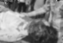 Horrific Accident in Ahmedabad BRTS Track: મોપેડ ચાલકને બસે 60 ફૂટ ઢસડ્યો, યુવકનું મોઢું છુંદાઈ જતાં લોહીની નદીઓ વહી Horrific Accident in Ahmedabad BRTS Track